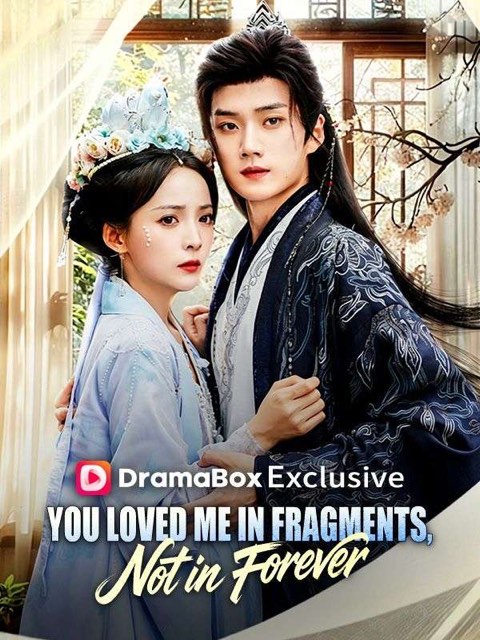 You Loved Me in Fragments Not in Forever
