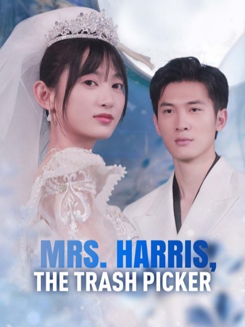 Mrs. Harris, The Trash Picker