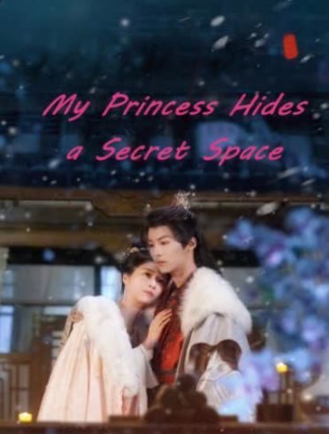 My Princess Hides a Secret Space