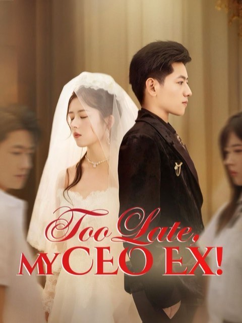 Too Late My CEO Ex / Wishing You on Without Me