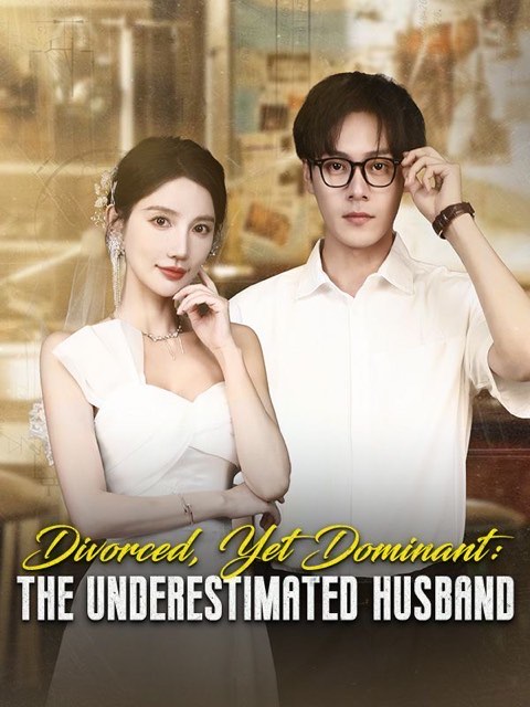 Divorced Yet Dominant The Underestimated Husband