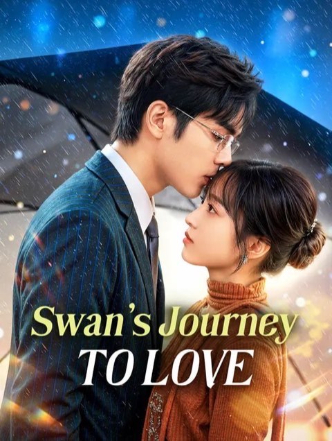 Swan’s Journey to Love