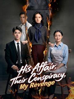 His Affair Their Conspiracy My Revenge