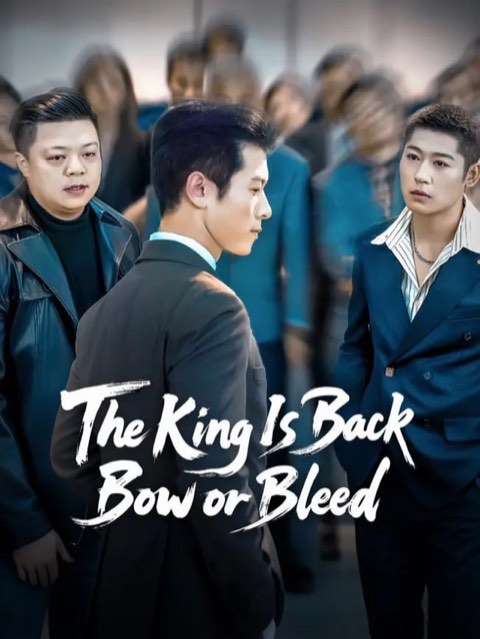 The King Is Back Bow or Bleed