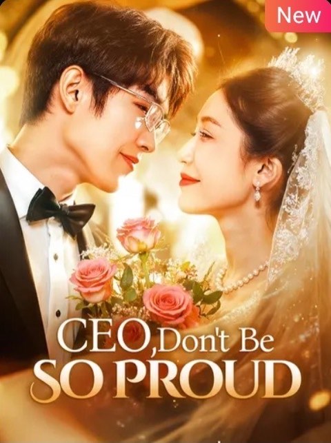 CEO Dont Be So Proud