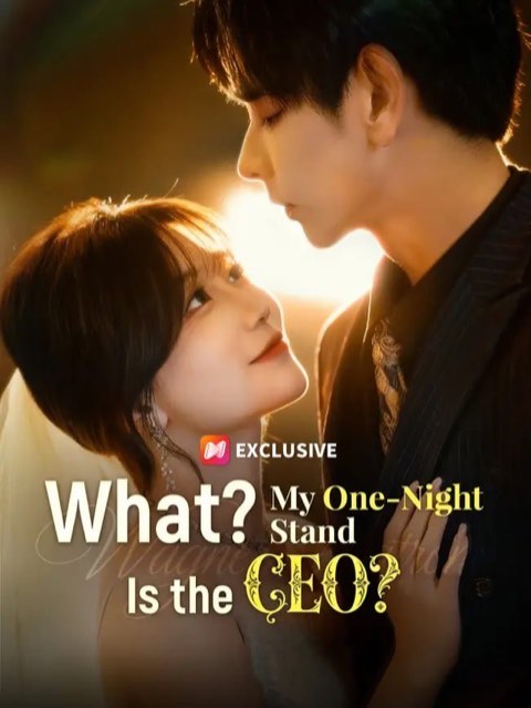 What My One Night Stand Is the CEO