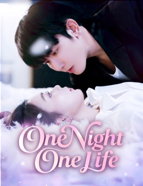 One Night One Life
