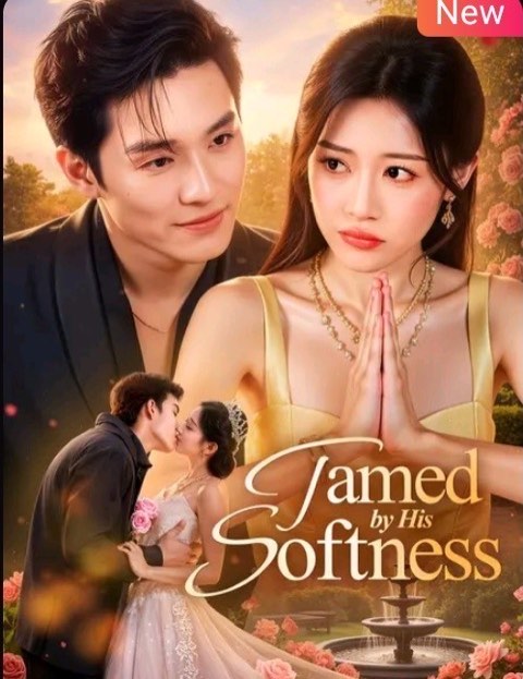 Tamed by His Softness