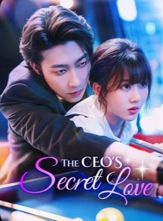 The CEO’s Secret Love