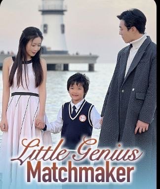 Little Genius Matchmaker