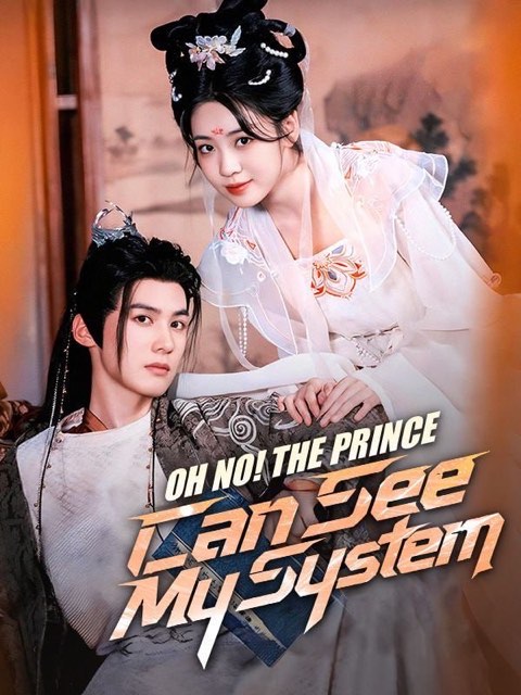 Oh No The Prince Can See My System