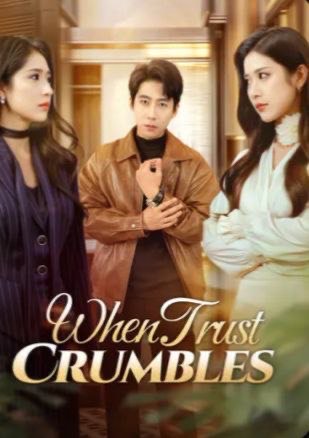 When Trust Crumbles