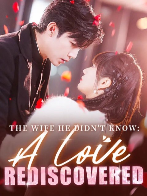 The Wife He Didn’t Know: A Love Rediscovered