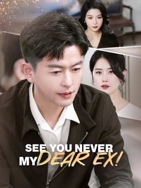 See You Never My Dear Ex!