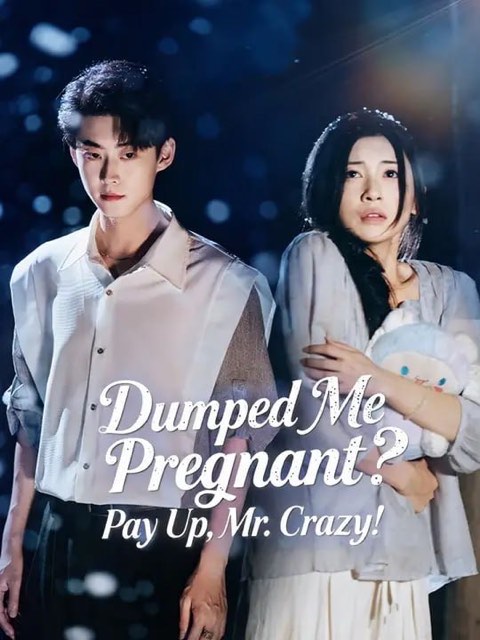 Dumped Me Pregnant Pay Up Mr Crazy