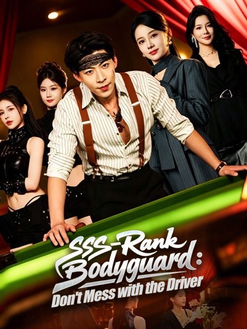 SSS Rank Bodyguard Don’t Mess with the Driver