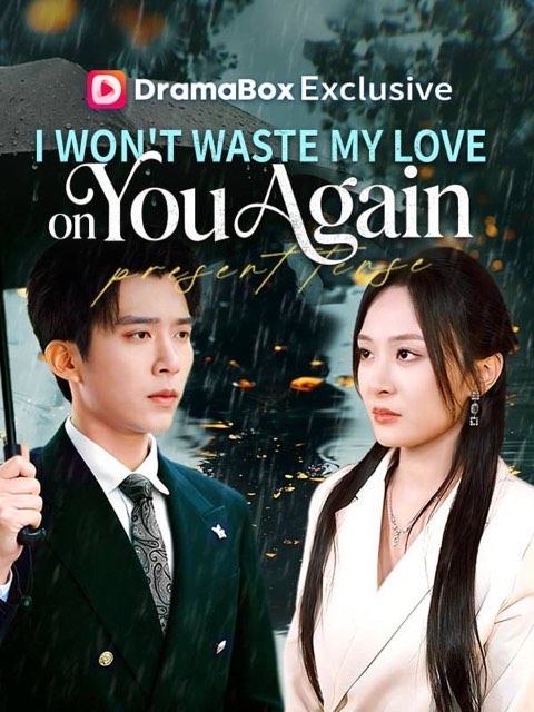 I Wont Waste My Love on You Again