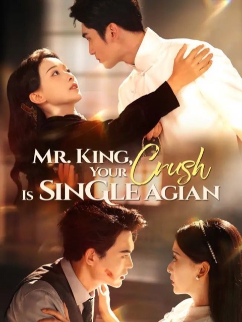 Mr King Your Crush Is Single Again
