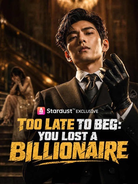 Too Late to Beg You Lost a Billionaire