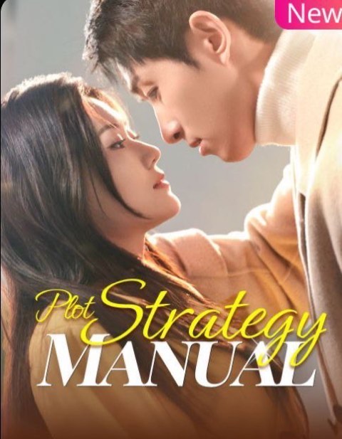 Plot Strategy Manual