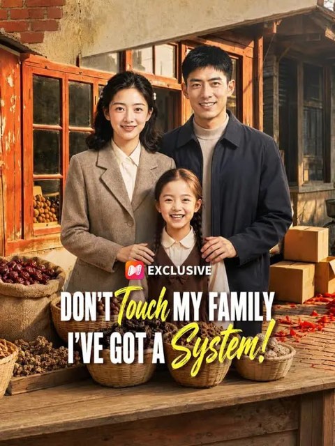 Don’t Touch My Family I’ve Got a System