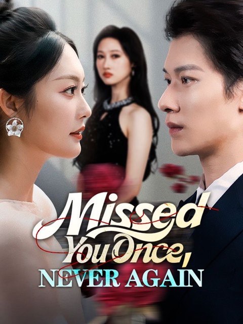 Missed You Once Never Again