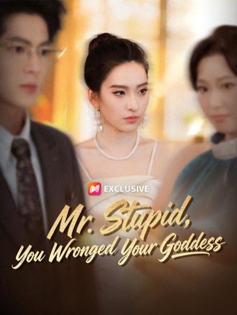 Mr Stupid You Wronged Your Goddess