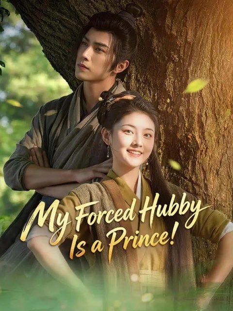 My Forced Hubby Is a Prince