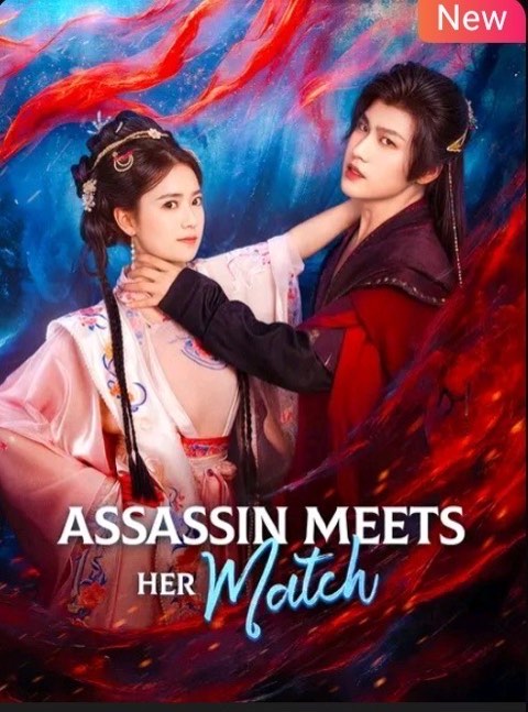 Assassin Meets Her Match