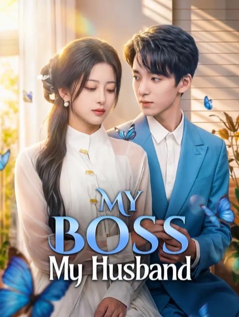 My Boss My Husband