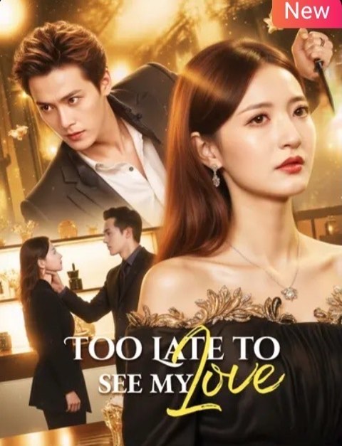 Too Late to See My Love