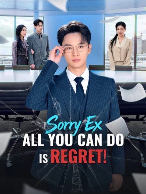 Sorry Ex All You Can Do is Regret
