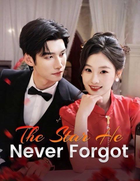 The Star He Never Forgot / Dump The Past Marry True Love / Star Crossed Redemption