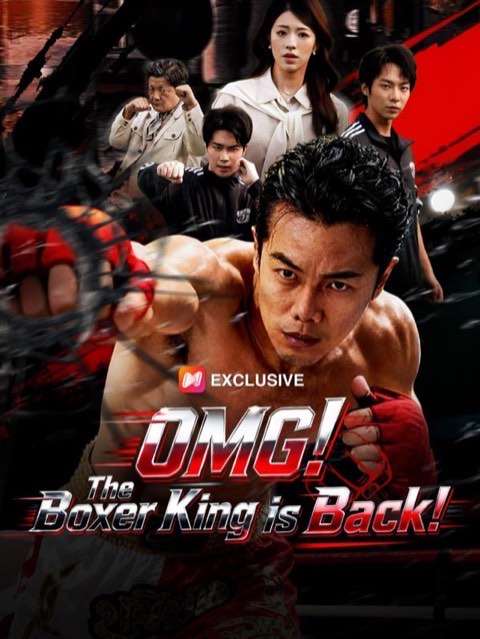 OMG The Boxer King is Back