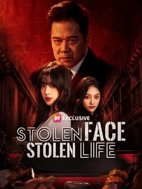 Stolen Face Stolen Life