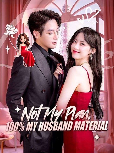 Not My Plan 100% My Husband Material