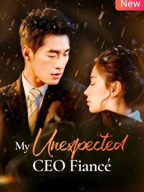 My Unexpected CEO Fiance