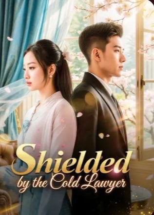Shielded by the Cold Lawyer