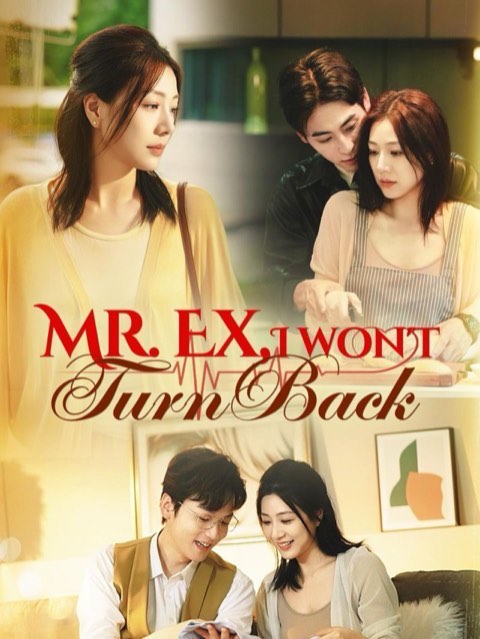Mr Ex I Wont Turn Back