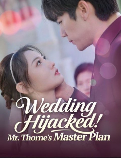 Wedding Hijacked Mr. Thorne’s Master Plan