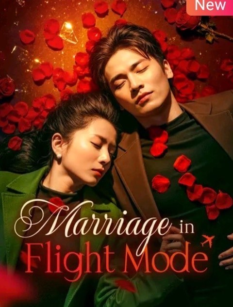 Marriage in Flight Mode