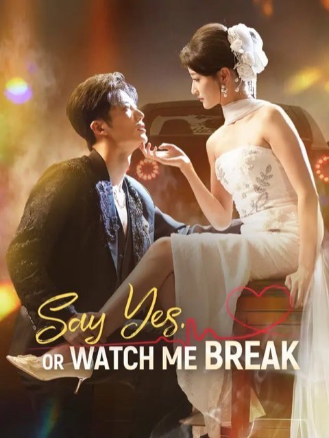 Say Yes Or Watch Me Break