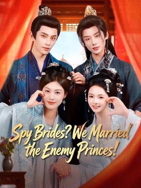Spy Brides We Married the Enemy Princes