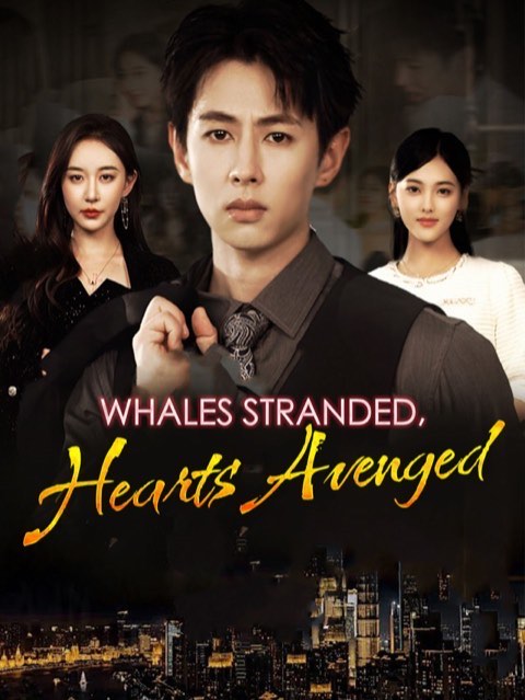 Whales Stranded Hearts Avenged