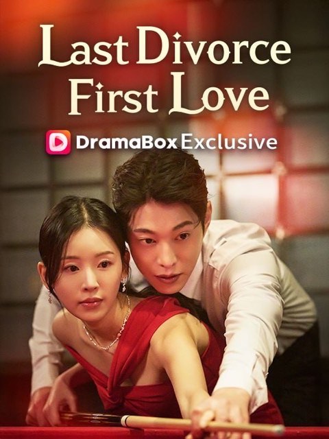 My Last Divorce My First Love