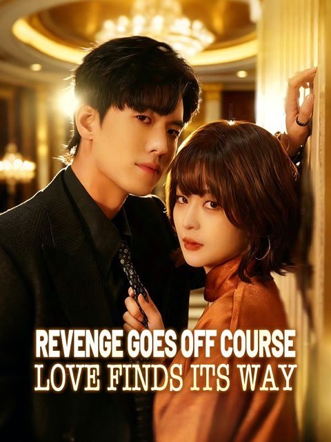 Revenge Goes Off Course Love Finds Its Way