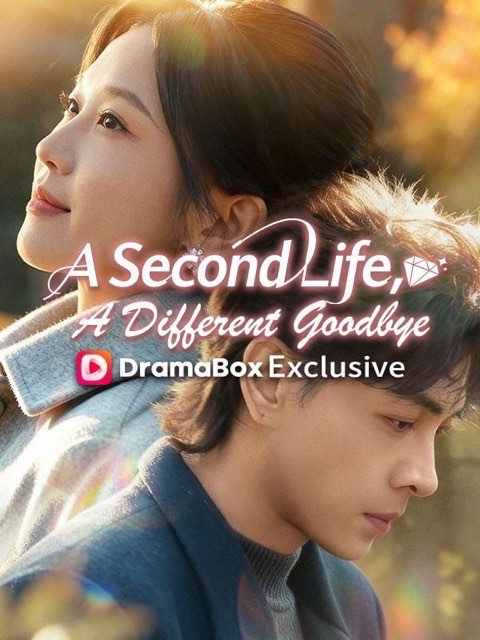 A Second Life A Different Goodbye