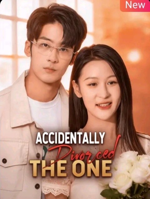 Accidentally Divorced the One