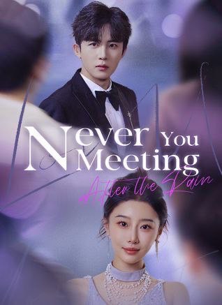 Never Meeting You after The Rain