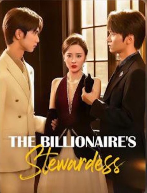 The Billionaire’s Stewardess